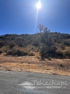 0 ALPS DRIVE, TEHACHAPI, CA 93561 - Image df1994cc40cdbde2d10dc6f93f0e0c27/888995441