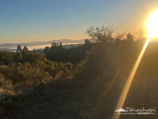 24881 JACARANDA DR, TEHACHAPI, CA 93561 - Image f80f876b32aaf8b91a54e6fbf1cf9fe3/3388184656