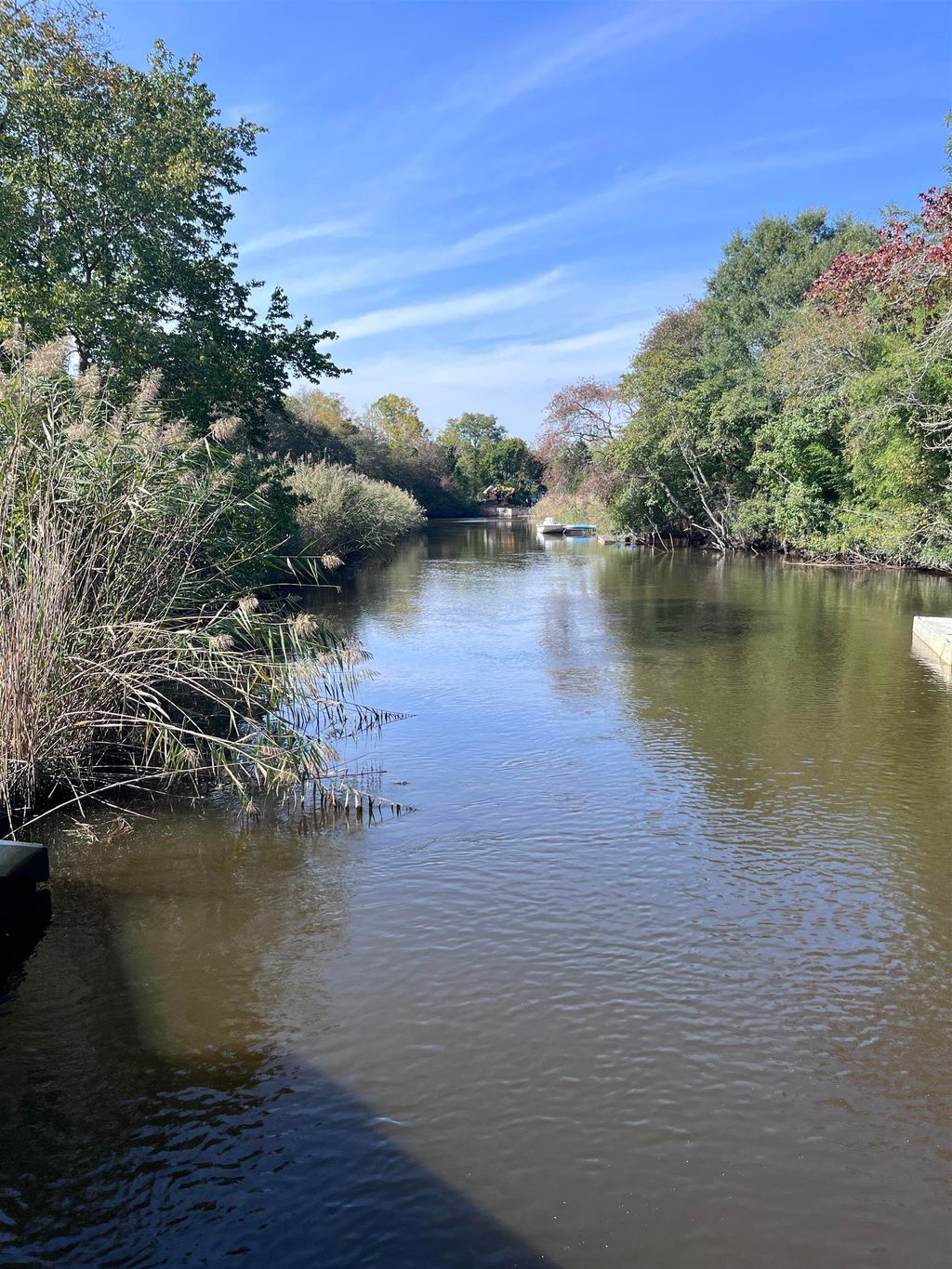 Photo of 000 route 49, Marshallville, NJ 08270 (MLS # 252837)