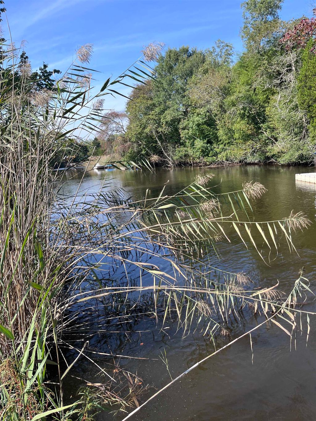 Photo of 000 route 49, Marshallville, NJ 08270 (MLS # 252837)