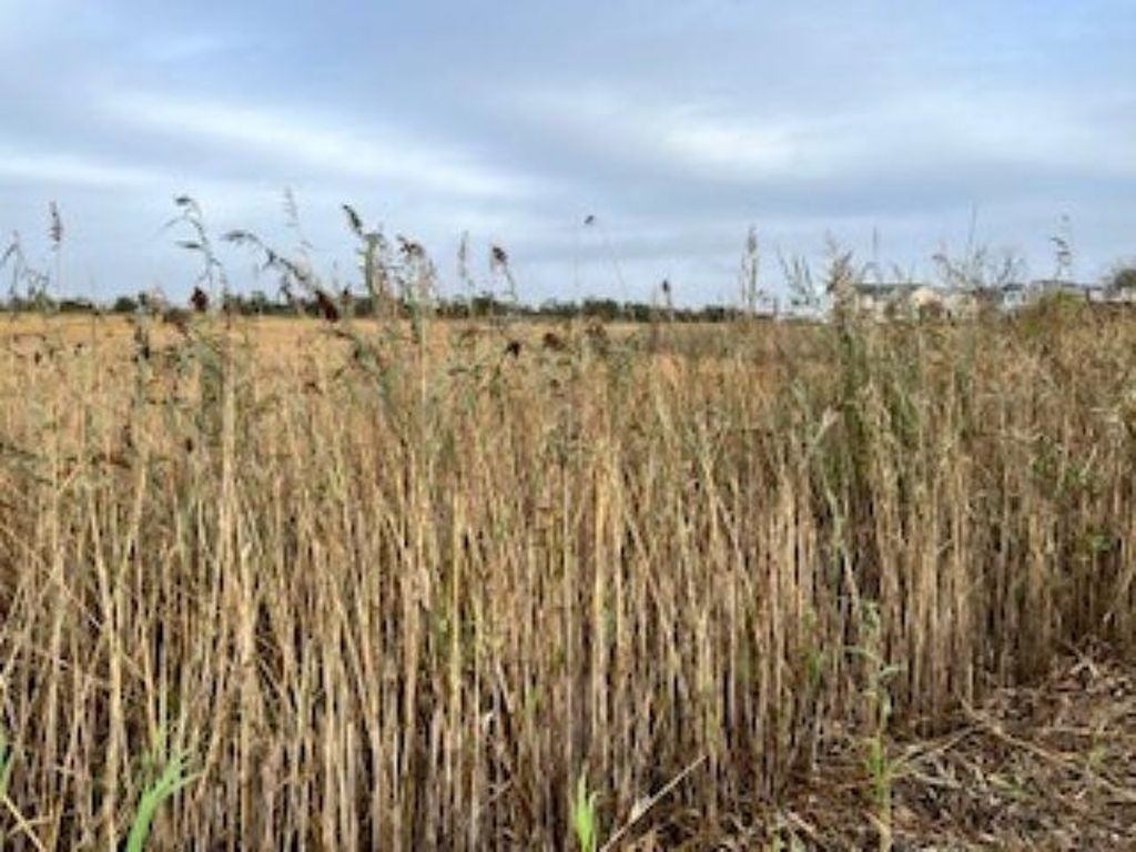 Photo of W Memphis Avenue, Lower Township, NJ 08260 (MLS # 253282)