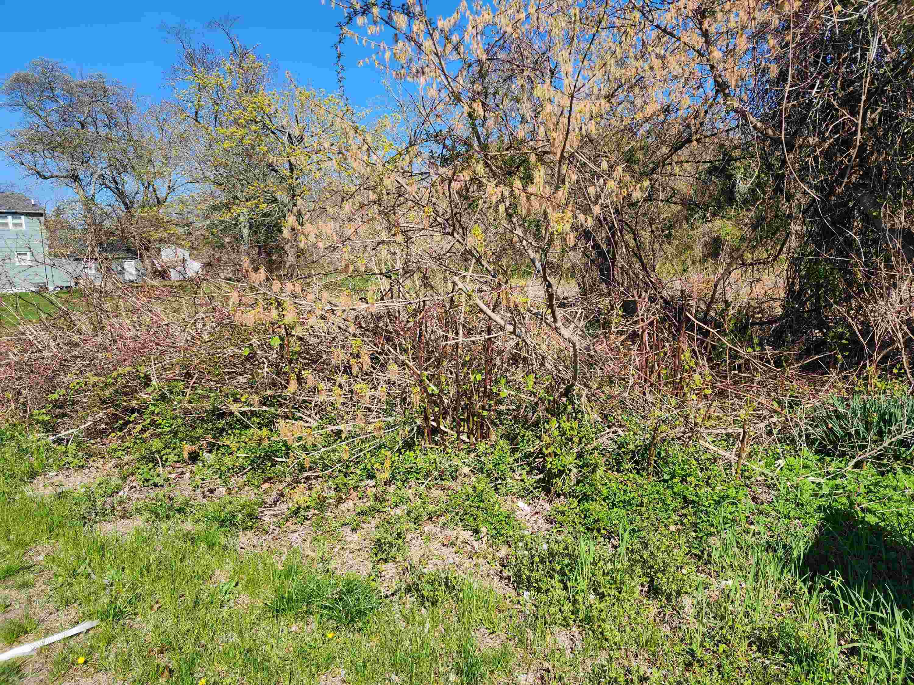 1610 S Route 9