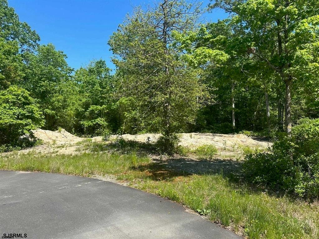 Photo of 102 Whitman Lane, Tuckahoe, NJ 08270 (MLS # 261647)