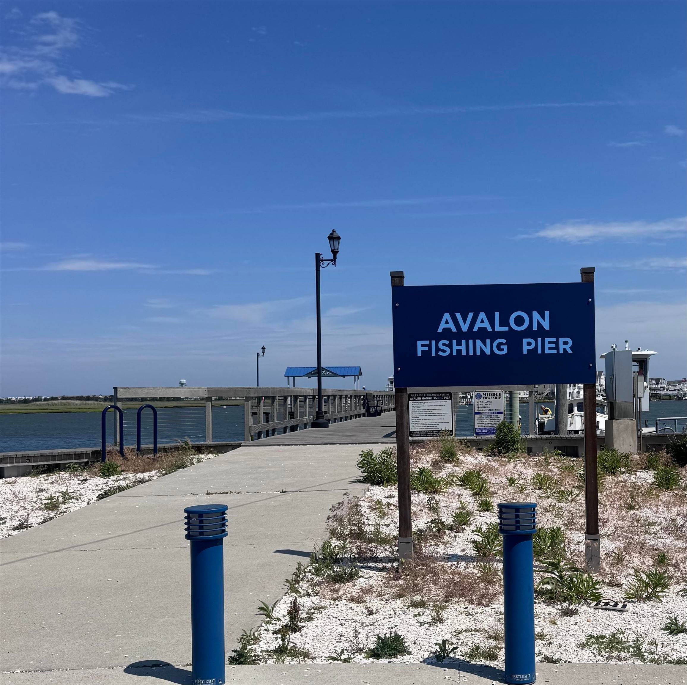 679 Avalon Boulevard