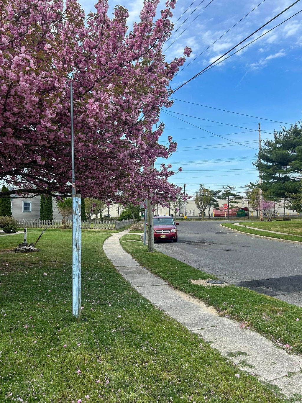 Photo of 318 Linden Lane, Rio Grande, NJ 08242 (MLS # 260634)