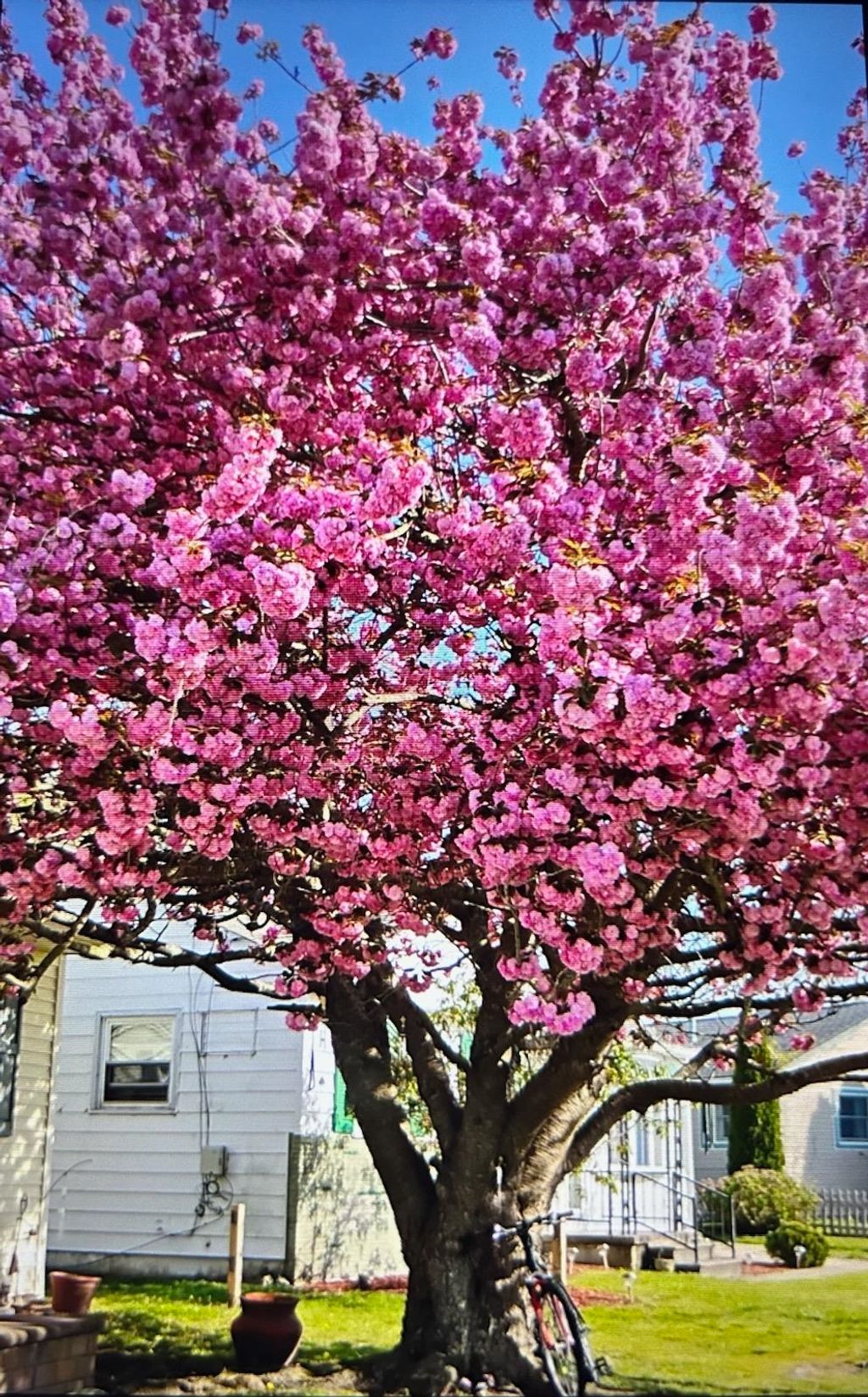 Photo of 318 Linden Lane Ln, Rio Grande, NJ 08242 (MLS # 260634)