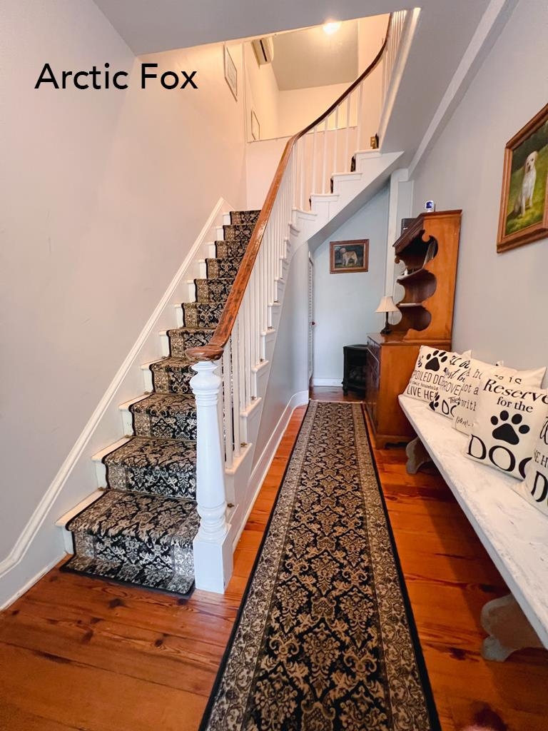 1015 Washington Street, Cape May, New Jersey image 43