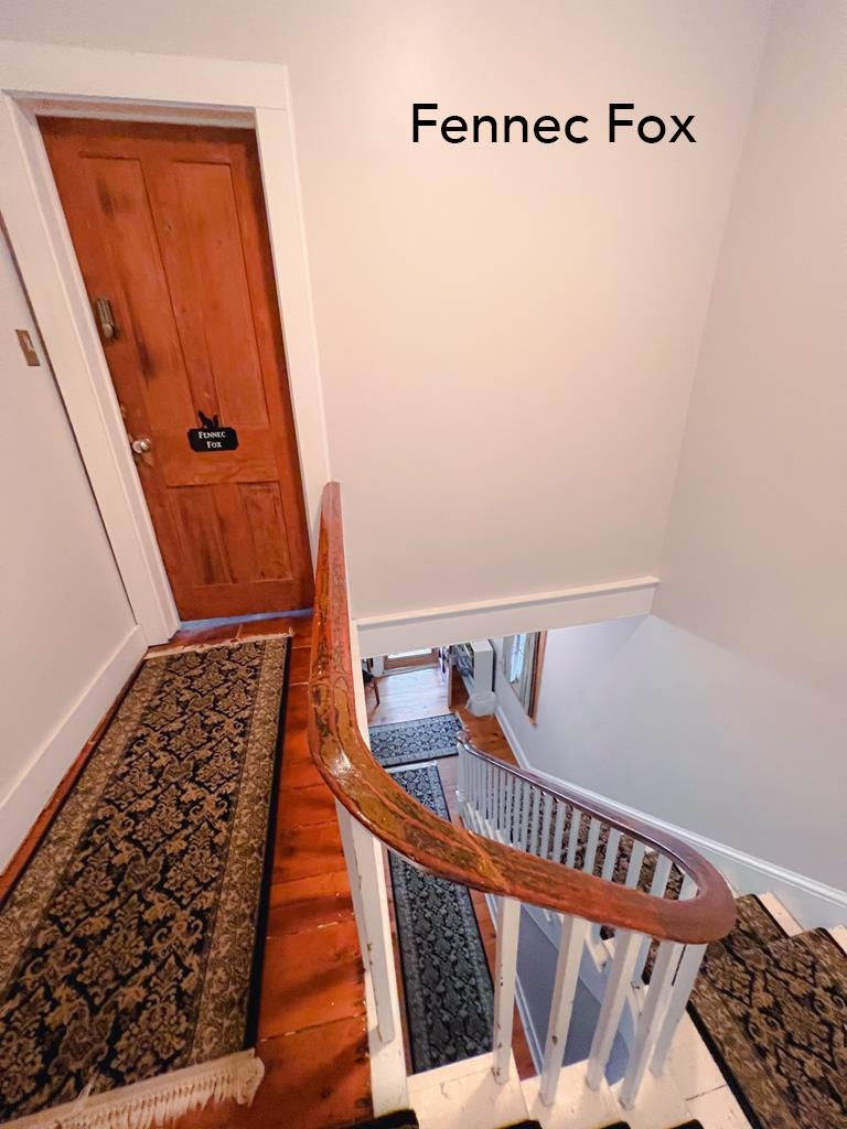 1015 Washington Street, Cape May, New Jersey image 33