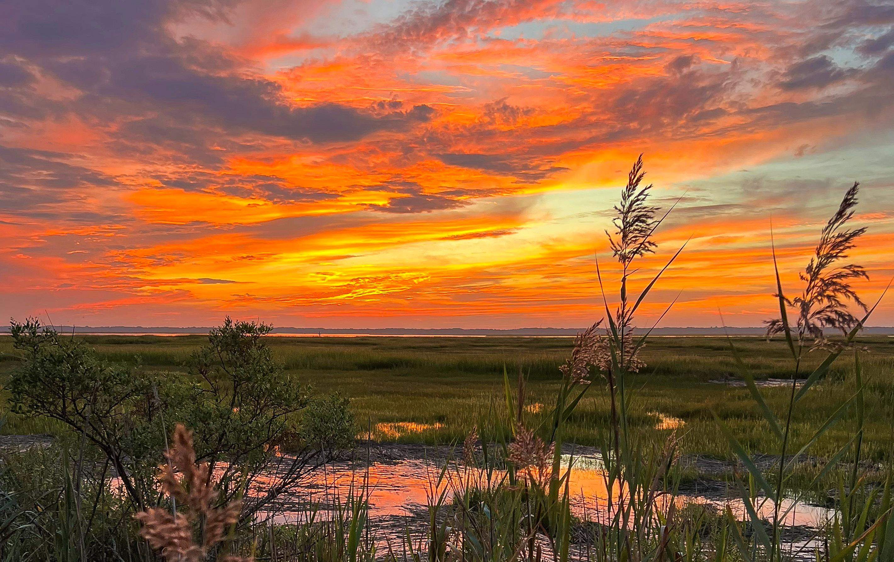 7108 Central Avenue #NORTH, Sea Isle City, New Jersey image 3