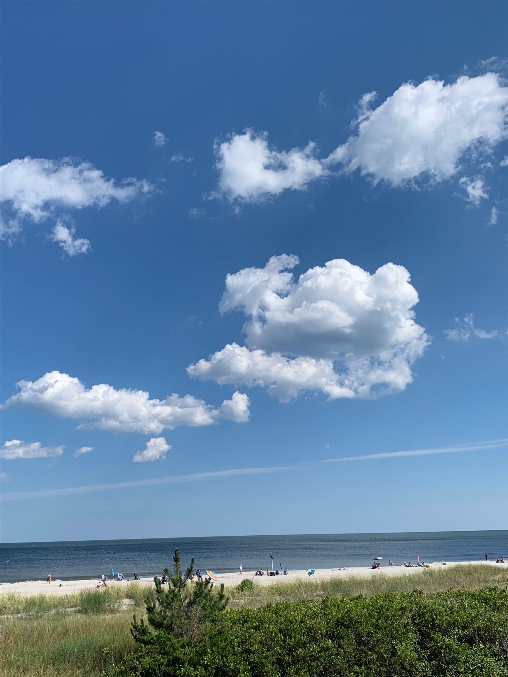 73 E 25th Street St, Avalon, New Jersey image 10