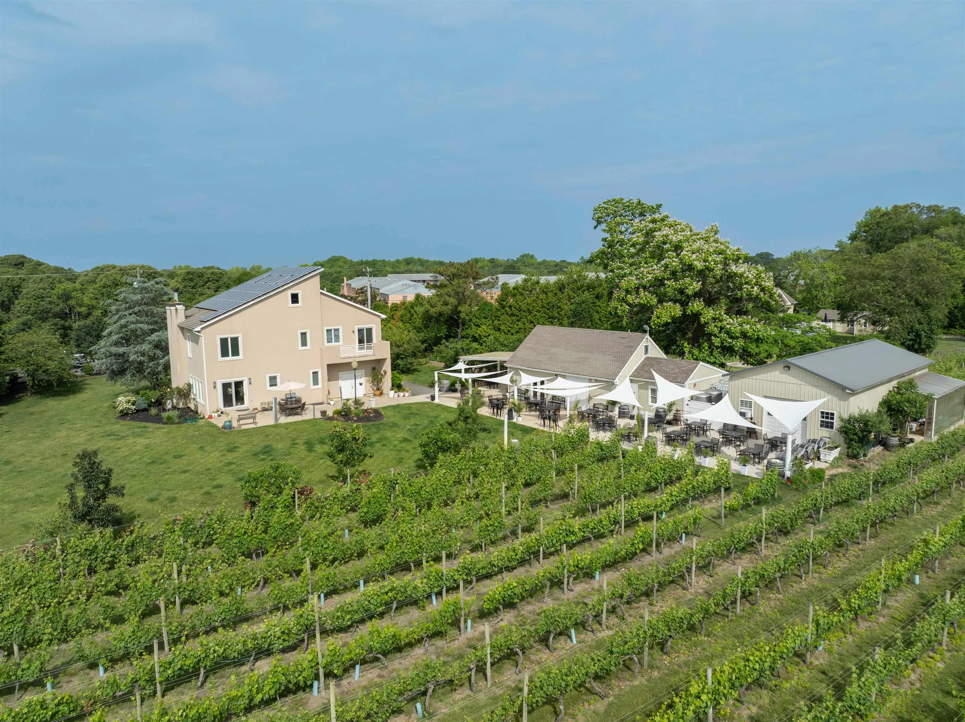 Townbank Vineyard Wineries In Cape May County 215 Town Bank Rd - Main Image