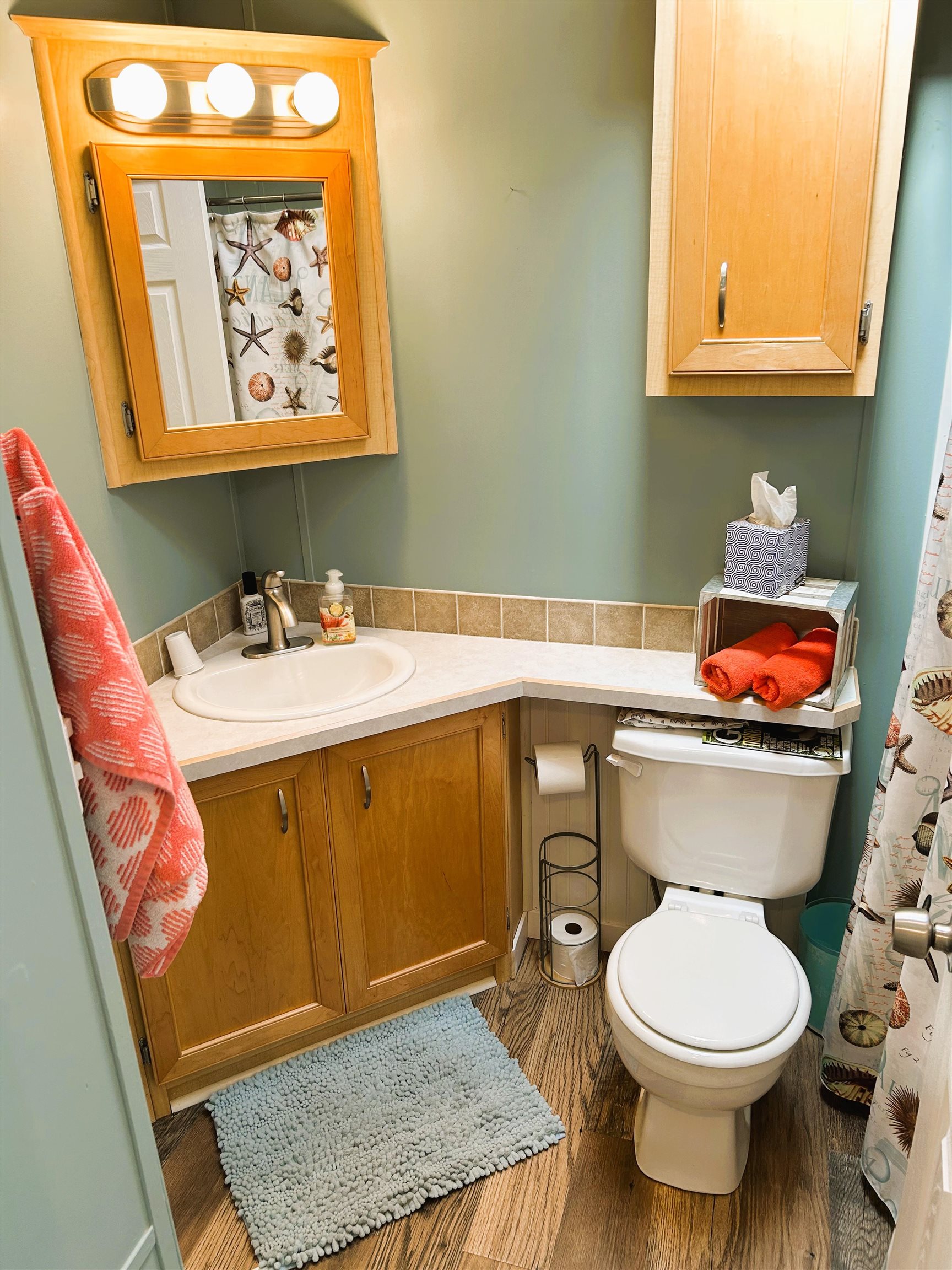 165 Freemont Avenue, Woodbine, New Jersey image 20