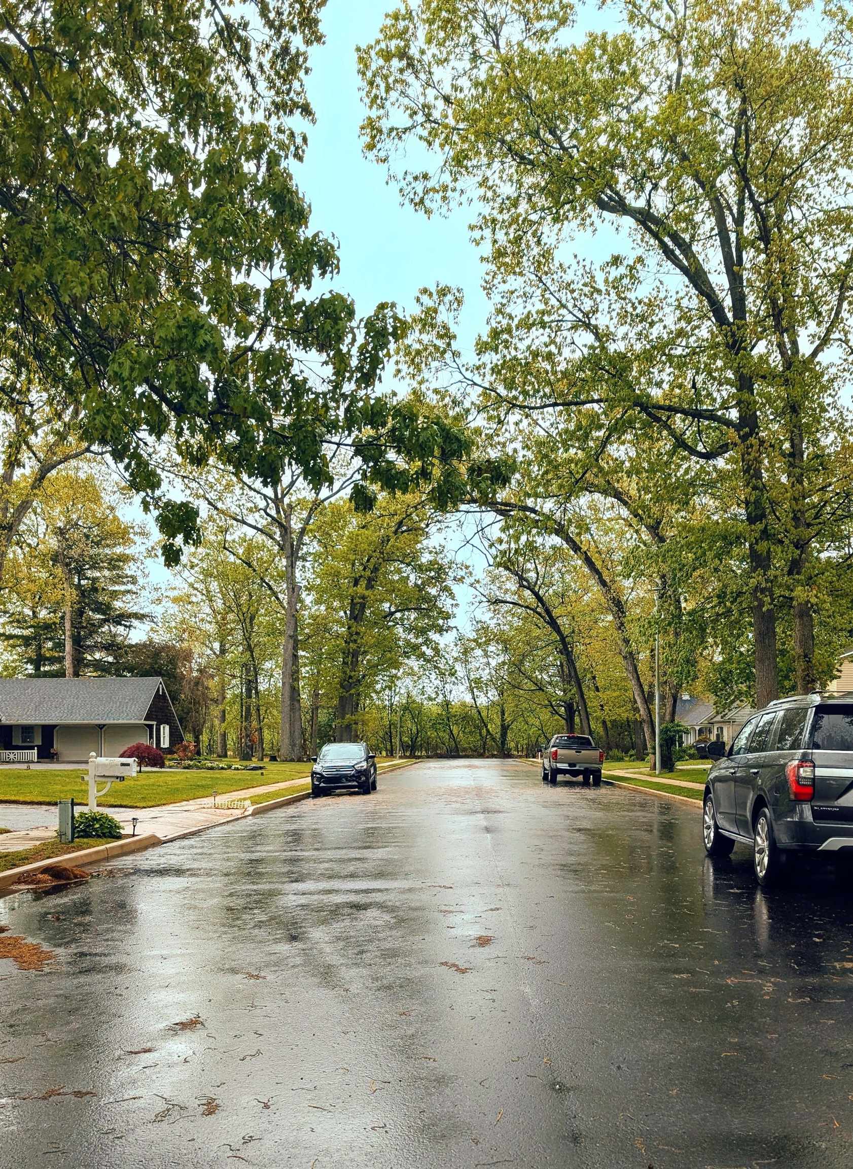 1703 Fairmount Avenue, Vineland, New Jersey image 28