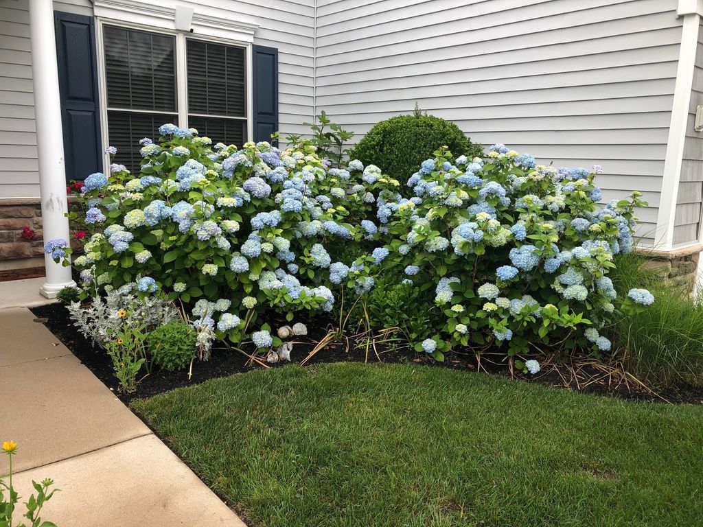 Photo of 308 Osprey Court #NO, Cape May Court House, NJ 08210 (MLS # 261369)