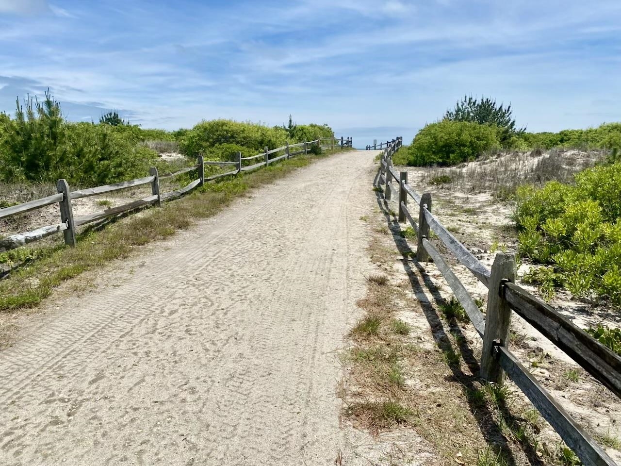 6762 Ocean Drive #6762, Avalon, New Jersey image 4