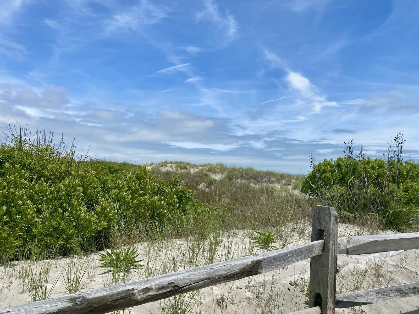 6762 Ocean Drive #6762, Avalon, New Jersey image 3