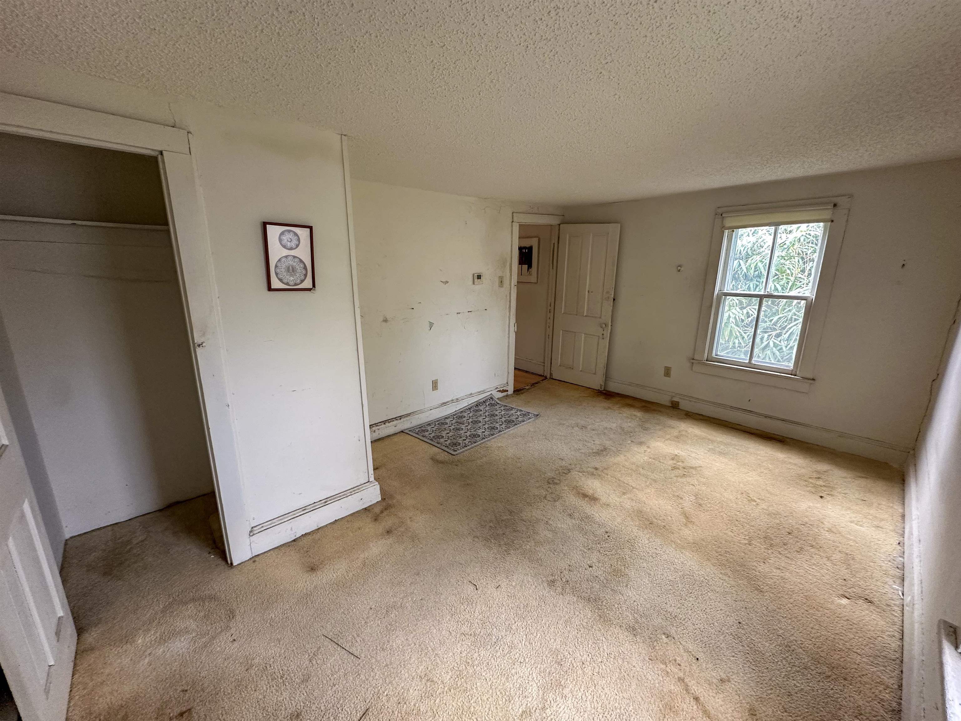 909 Corgie Street, Cape May, New Jersey image 29