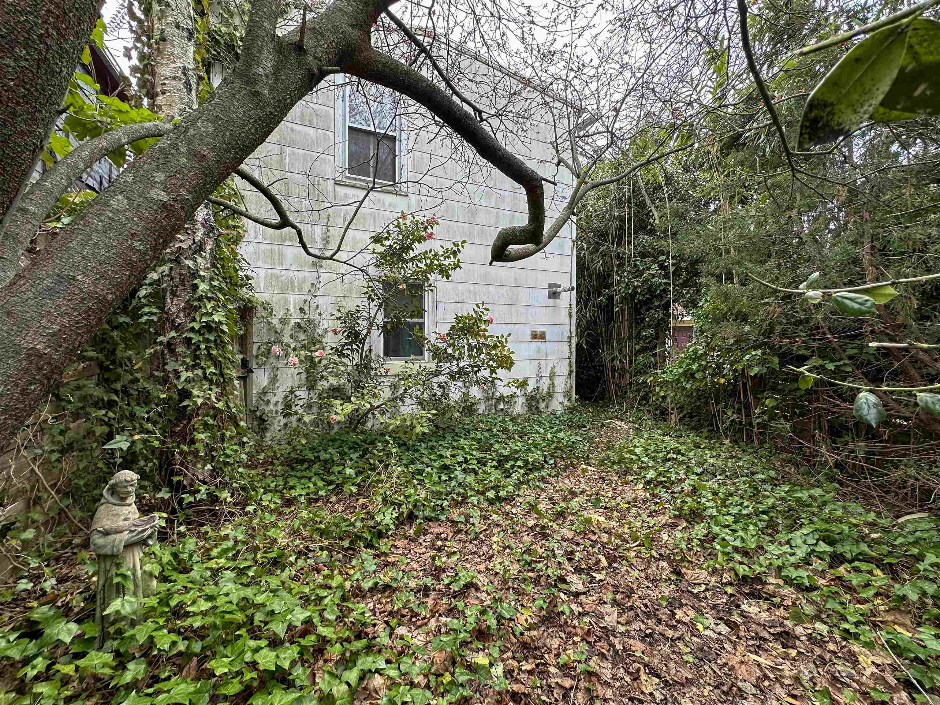 909 Corgie Street, Cape May, New Jersey image 35