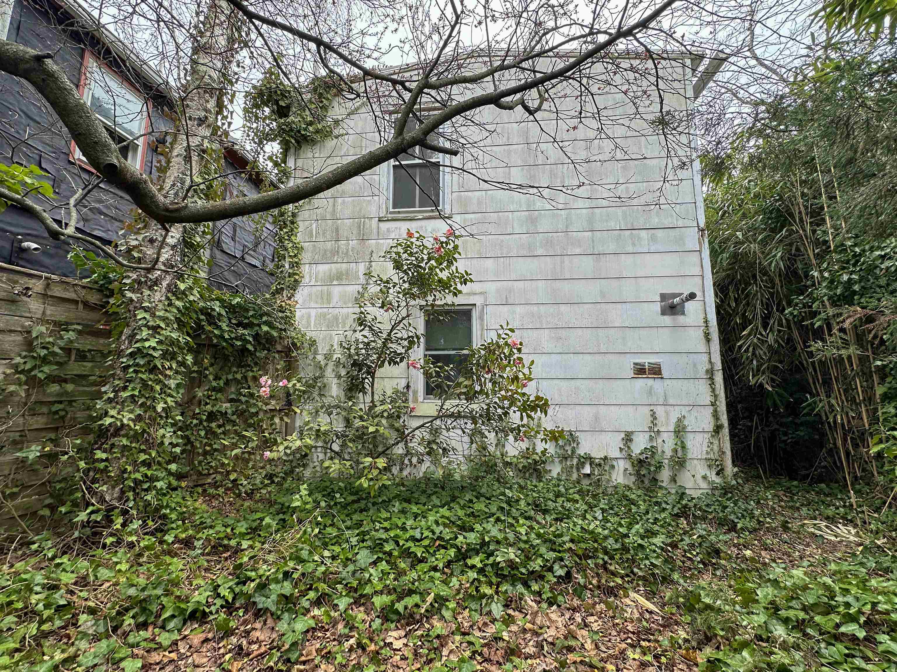 909 Corgie Street, Cape May, New Jersey image 34