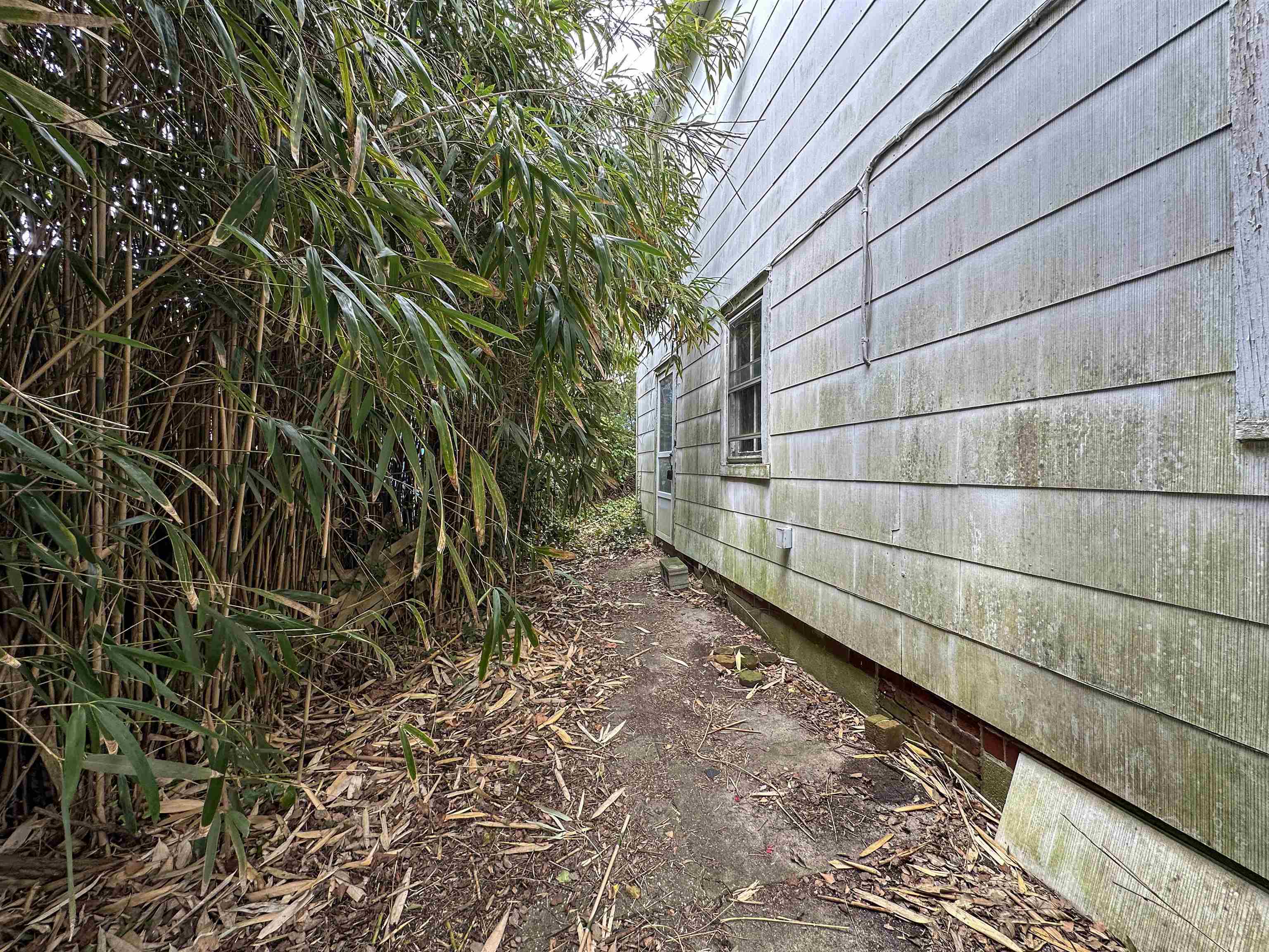 909 Corgie Street, Cape May, New Jersey image 32