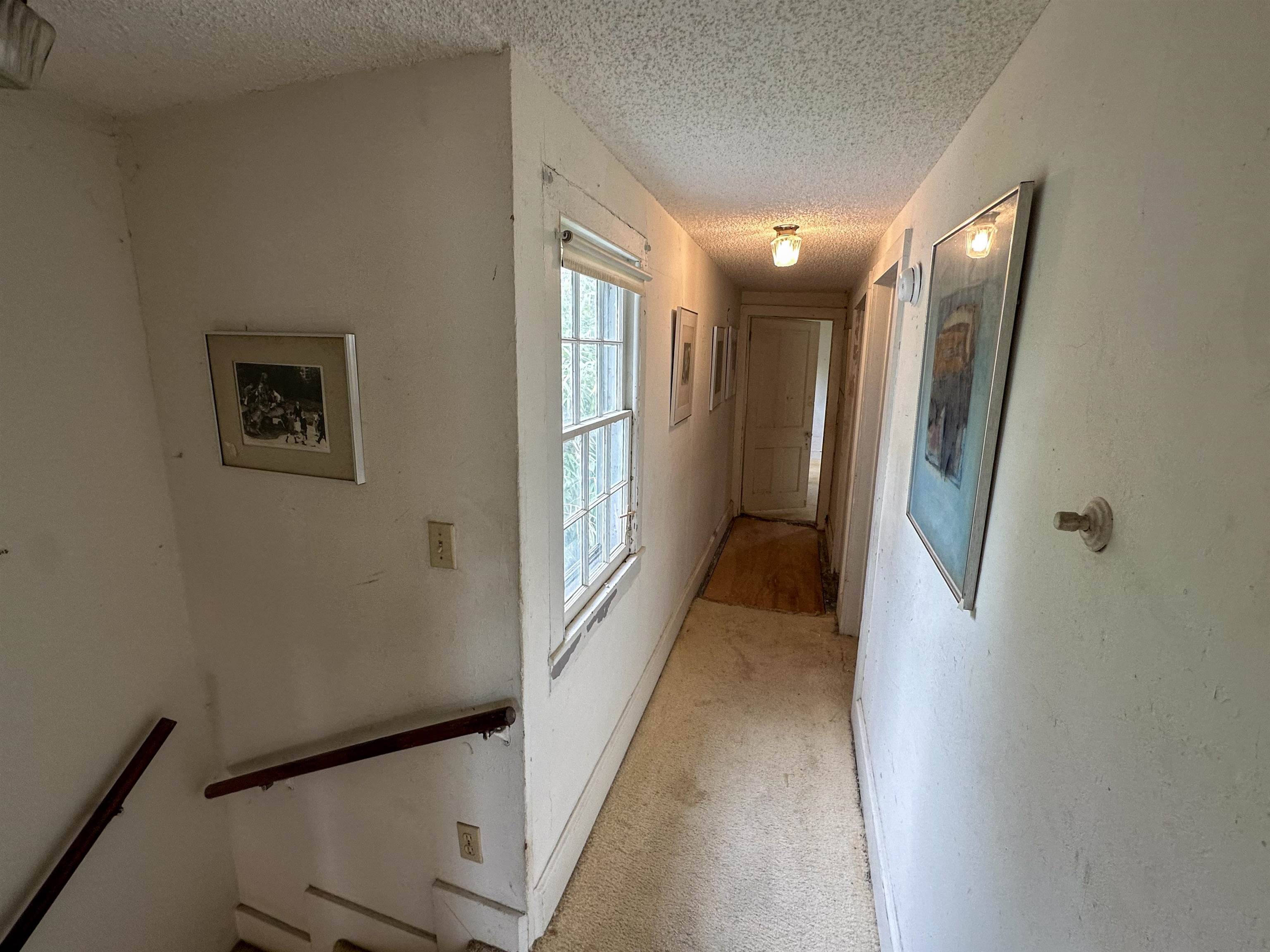 909 Corgie Street, Cape May, New Jersey image 19