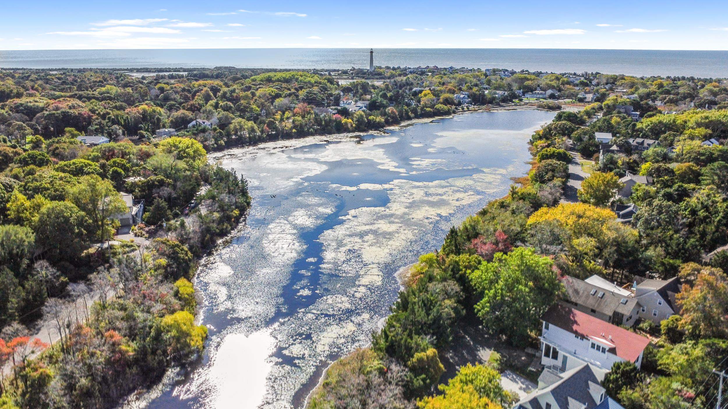 804 Cape Avenue, Cape May Point, New Jersey image 8