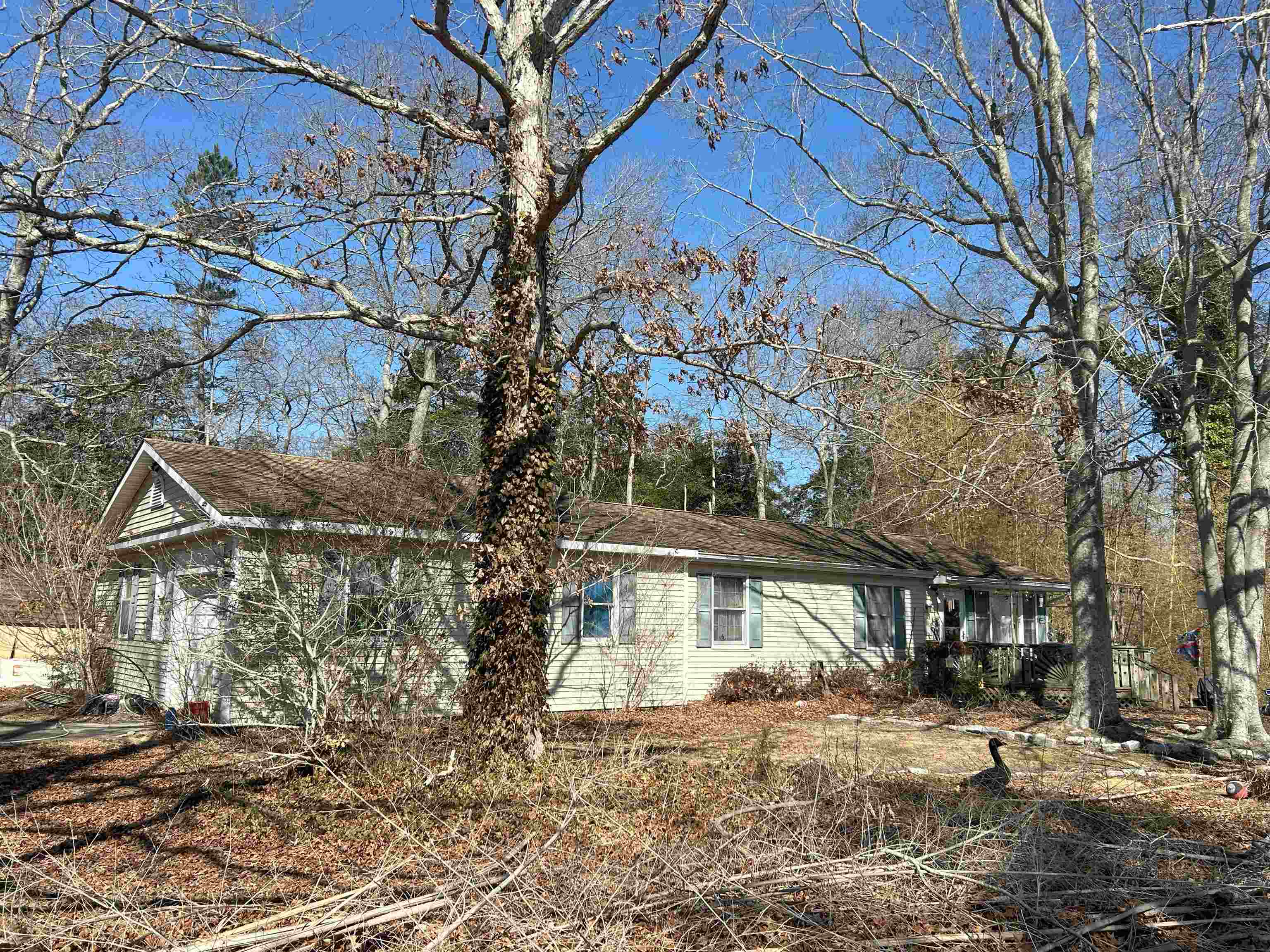 17 Sunny Lane, South Dennis, New Jersey image 1
