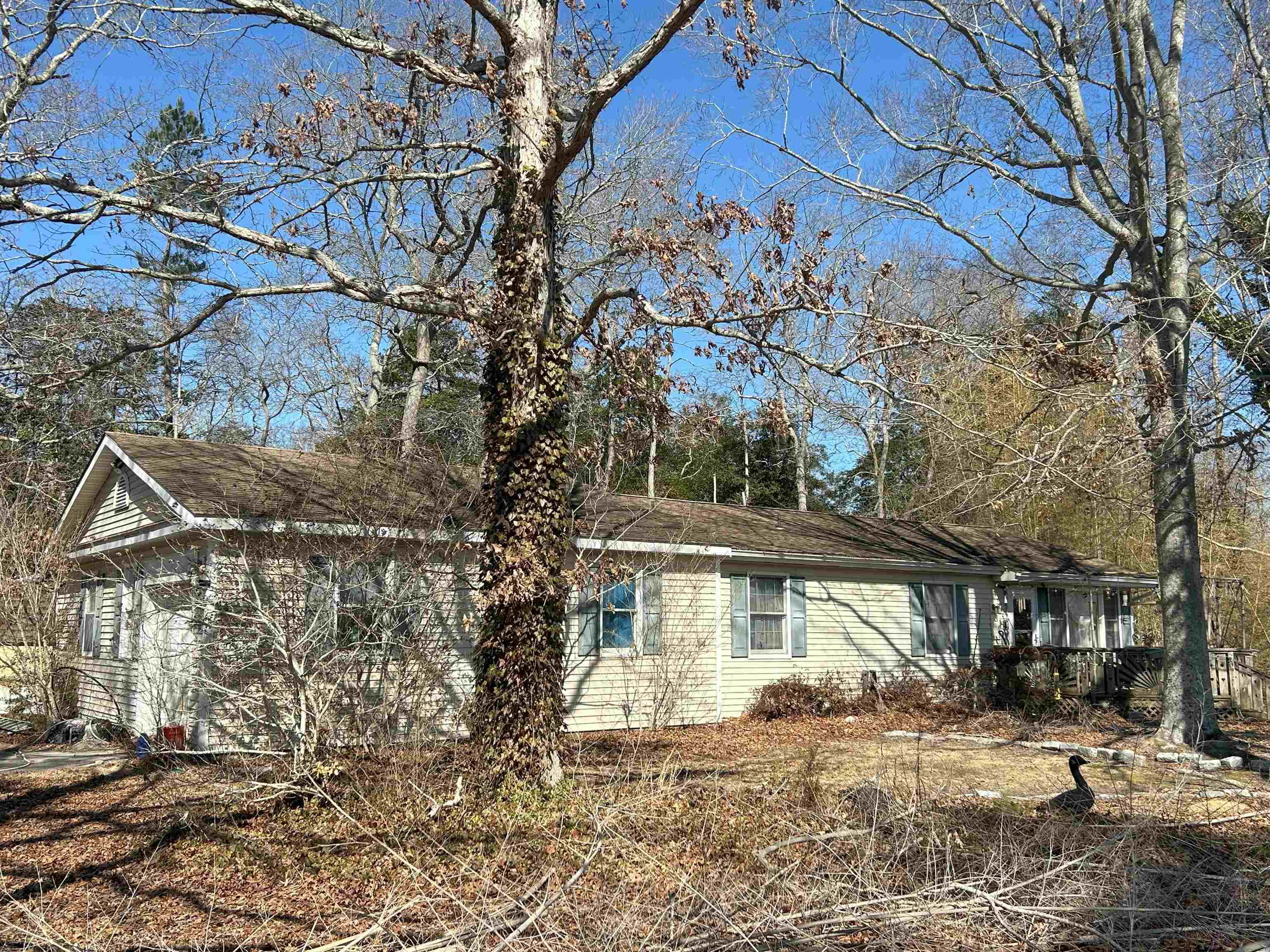 17 Sunny Lane, South Dennis, New Jersey image 2
