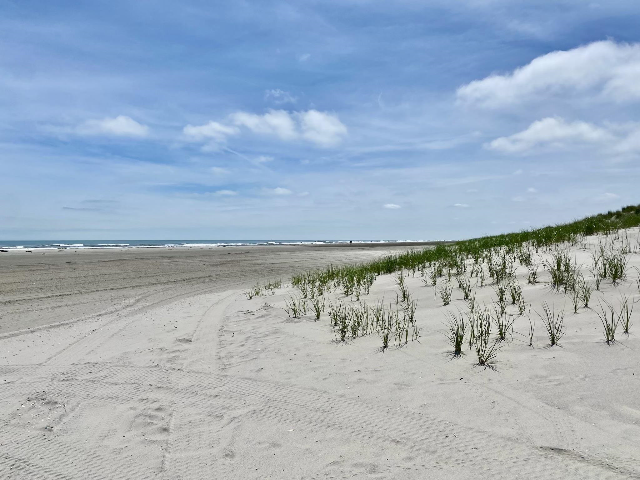 6772 Ocean Drive #6772, Avalon, New Jersey image 9