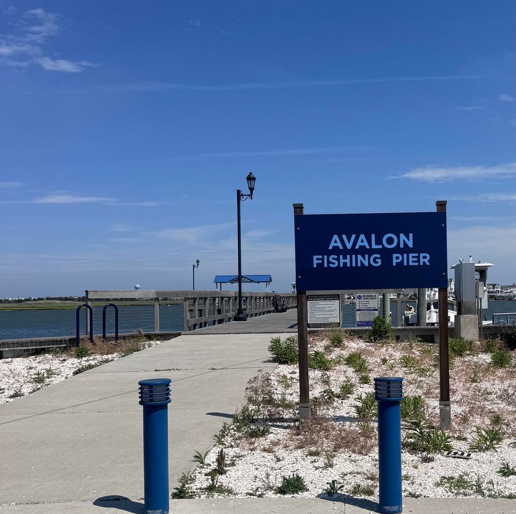 Photo of 14 Meadow View Lane, Avalon Manor, NJ 08202 (MLS # 261666)