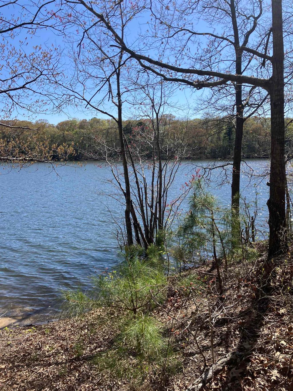 Photo of 0 Route 9 South, Edgewood, NJ 08242 (MLS # 260064)