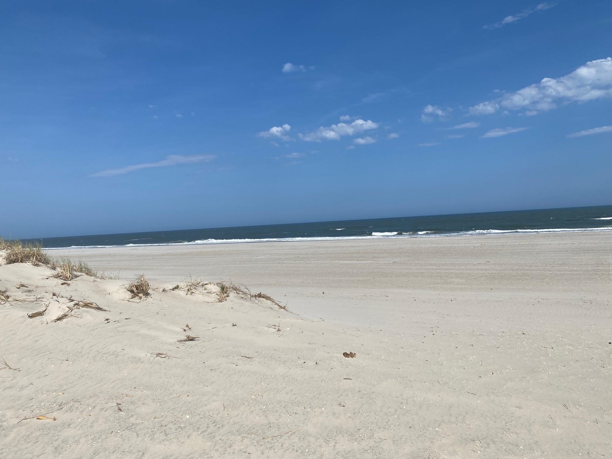 25 81st Street #WEST, Sea Isle City, New Jersey image 44