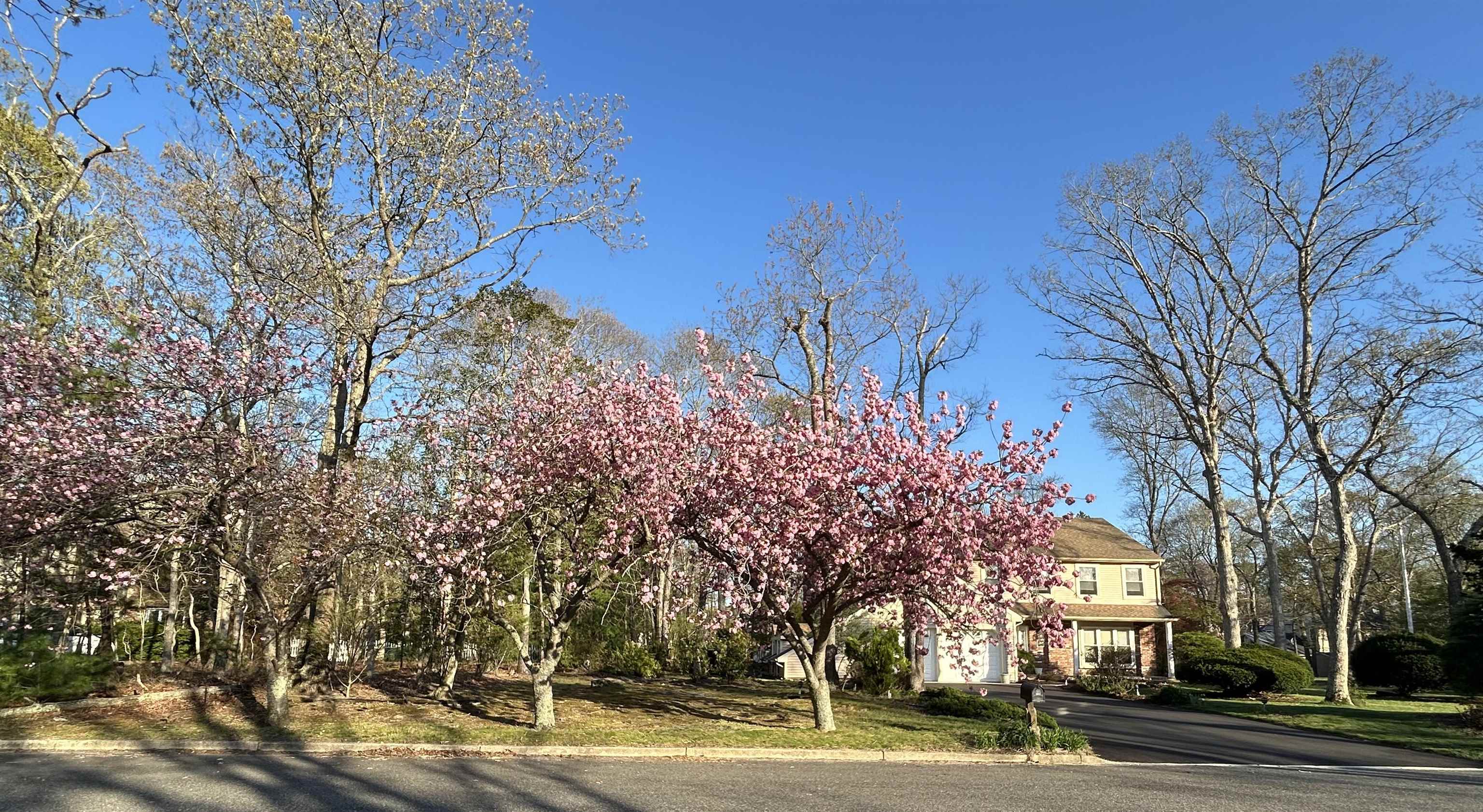 2 New Vernon Avenue