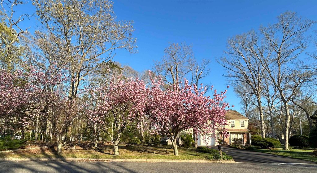 Photo of 2 New Vernon Avenue, Seaville, NJ 08230 (MLS # 261061)