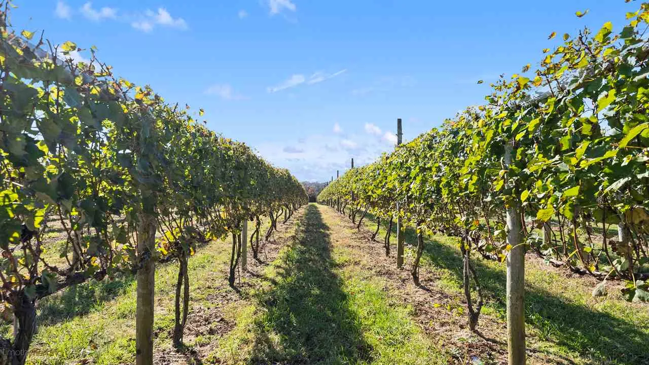 221 N Route 47, Cape May Court House, NJ 08210 MLS 204471