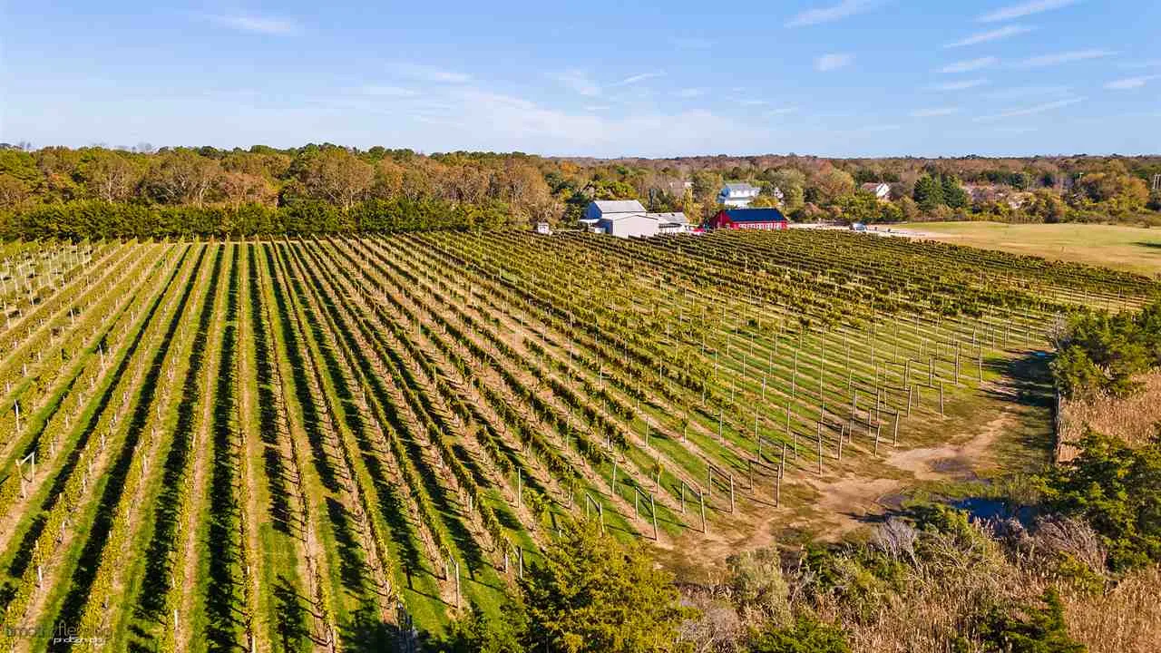 Willow Creek Winery Events Vineyards Near Cape May Nj Willow Creek