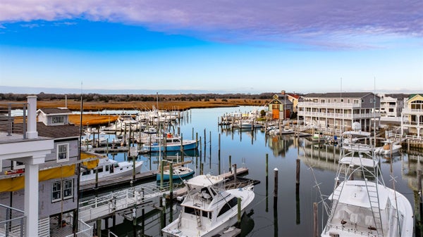 144 ROSEMANS LN, CAPE MAY, NJ 08204 - Image dfa3590d33c37e1ba841dcecfd1927d8/3836307452