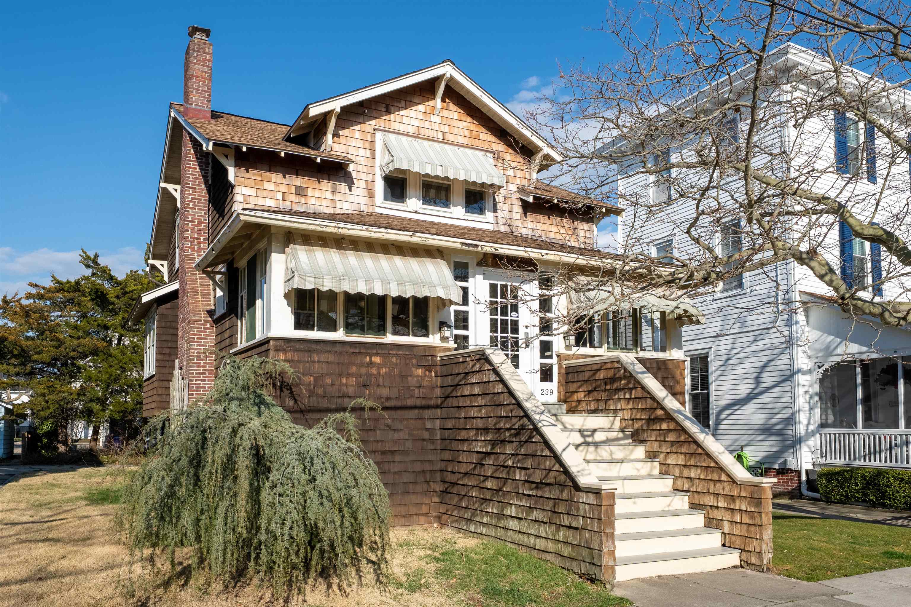 239 Windsor Avenue, Cape May, New Jersey image 2