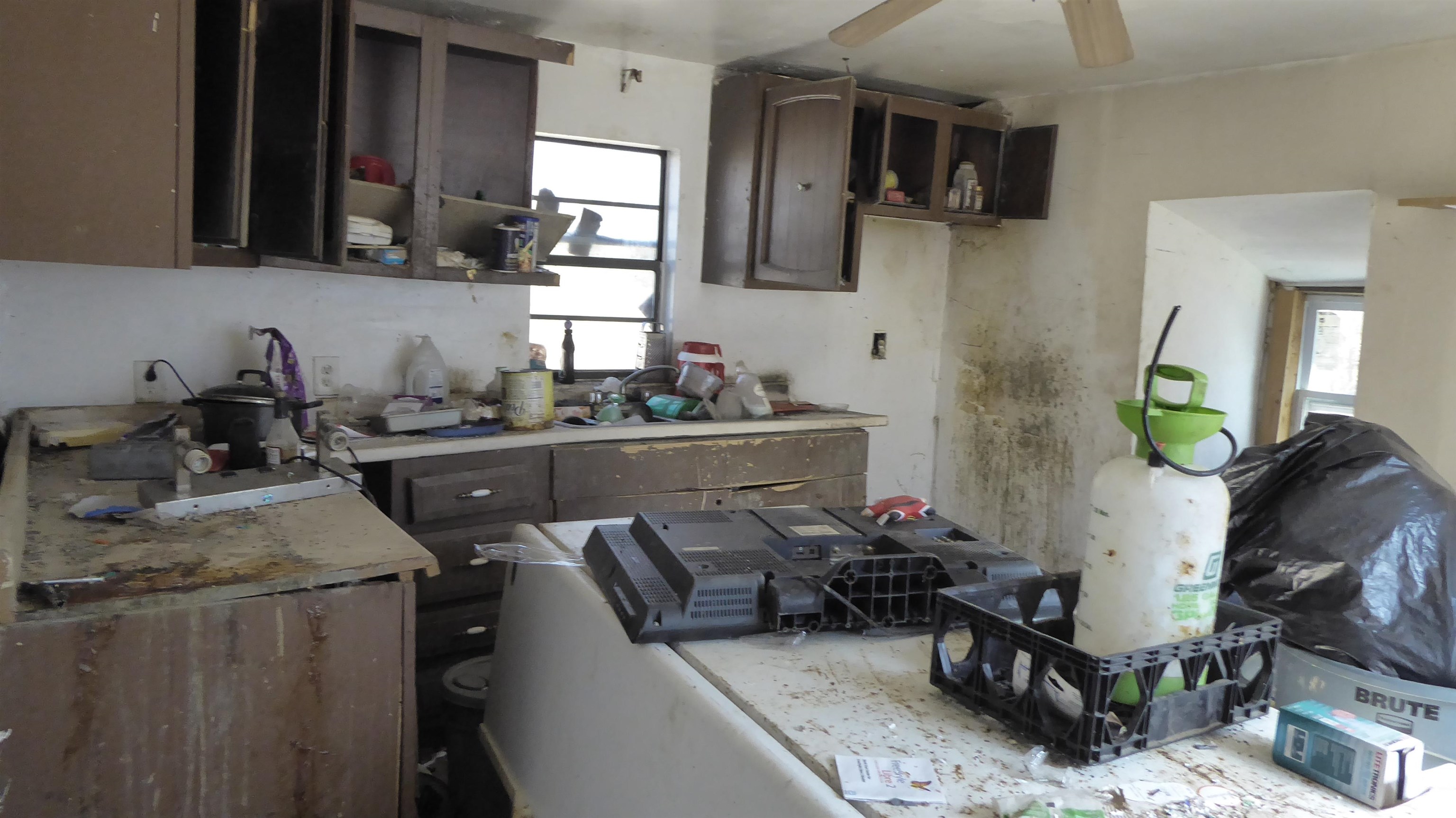 14 Horner Road, Delmont, New Jersey image 5