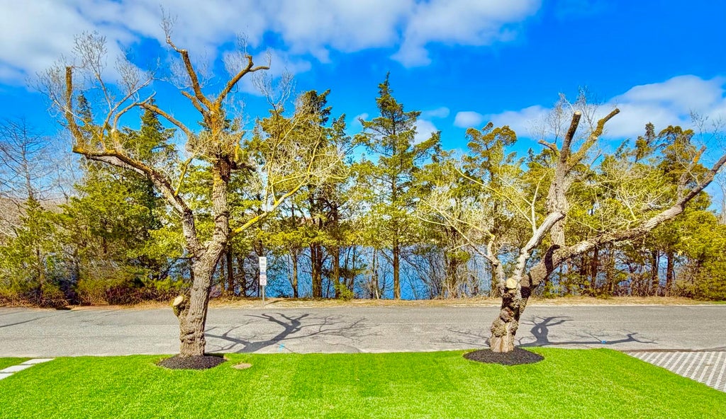 Photo of 605 E Lake Drive, Cape May Point, NJ 08212 (MLS # 263011)