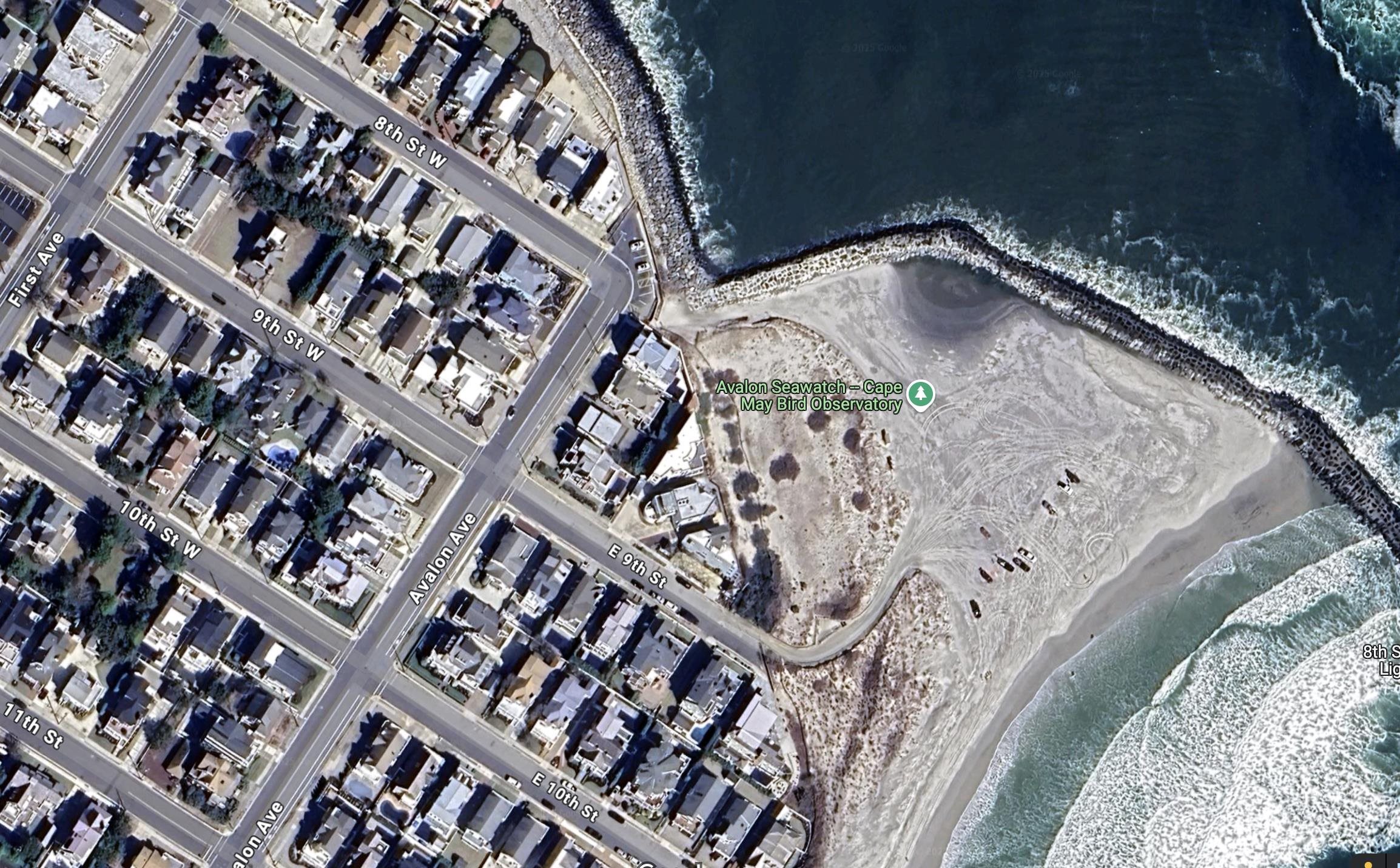 74 W 8th Street, Avalon, New Jersey image 2