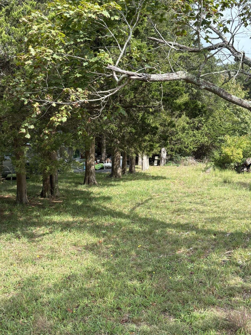 Photo of 32 Swainton Goshen Road, Swainton, NJ 08210 (MLS # 252993)