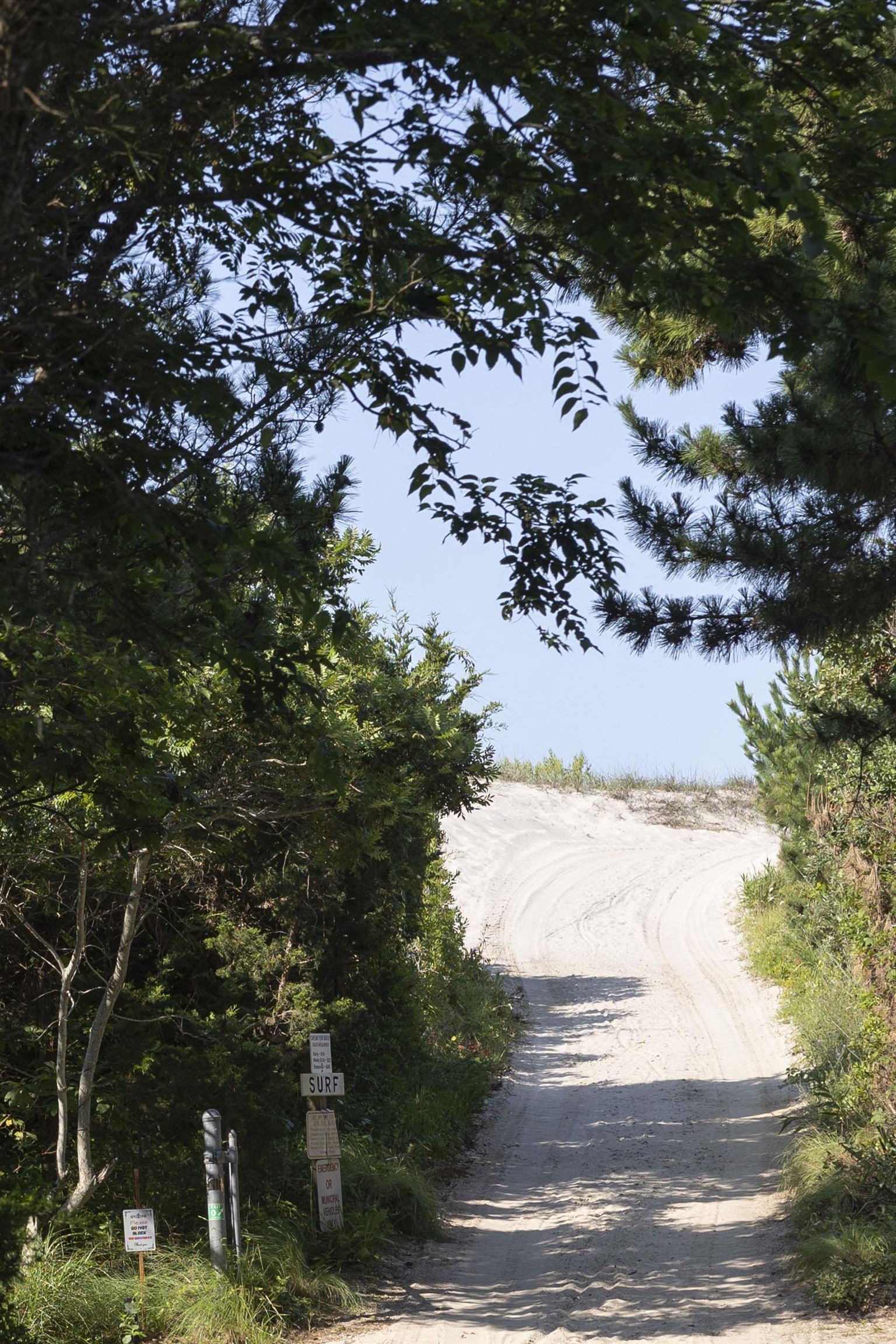 509 Ocean Avenue, Cape May Point, New Jersey image 39