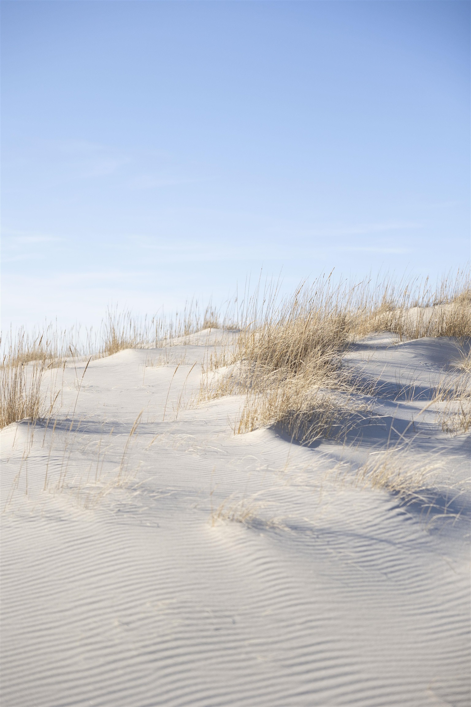 509 Ocean Avenue, Cape May Point, New Jersey image 41