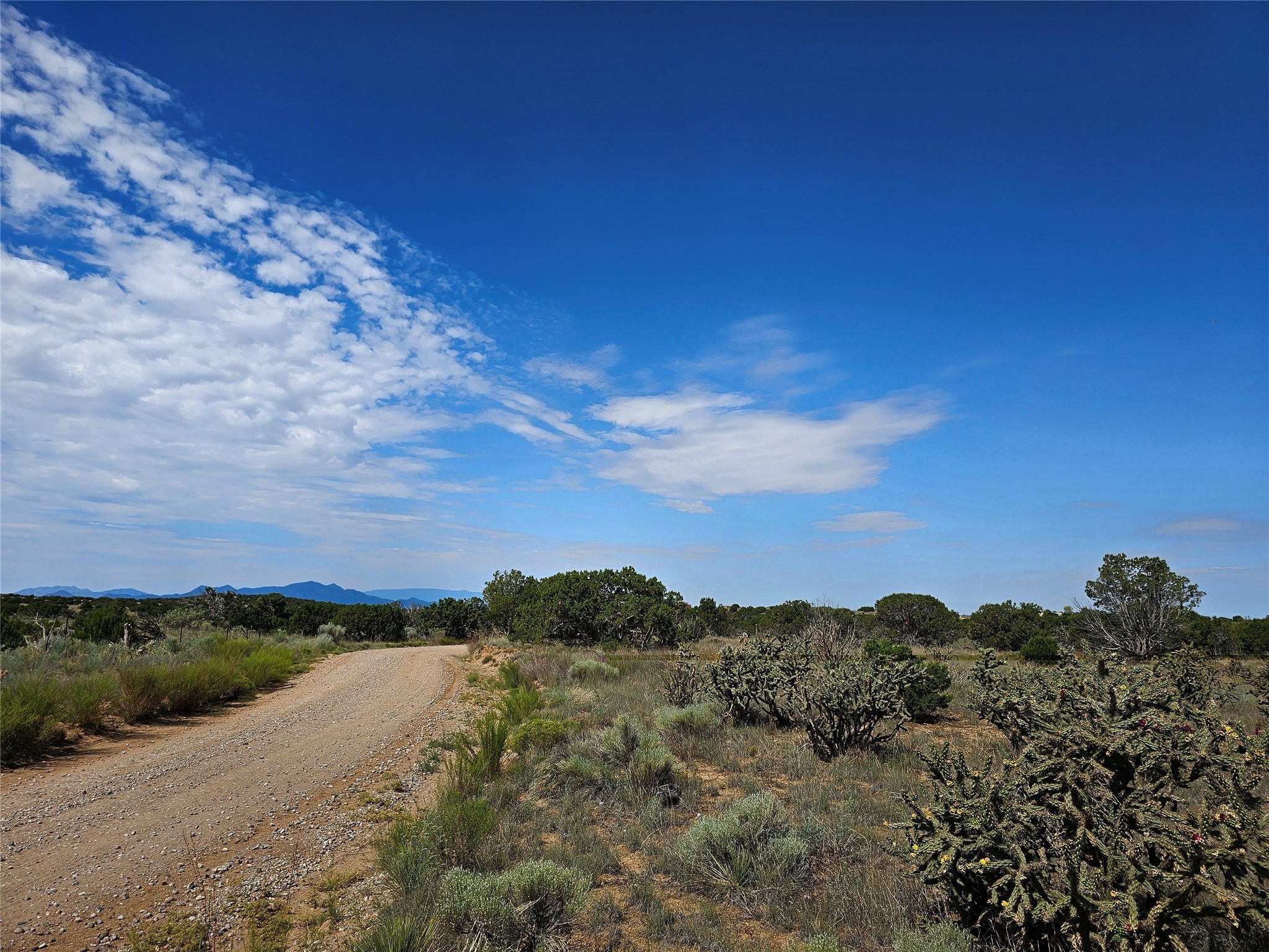 251 Spur Ranch Road Rd, Lamy, New Mexico image 3