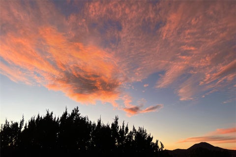 Tiny photo for 1 Blue Corn Trace Trce, Santa Fe, NM 87508 (MLS # 202603624)