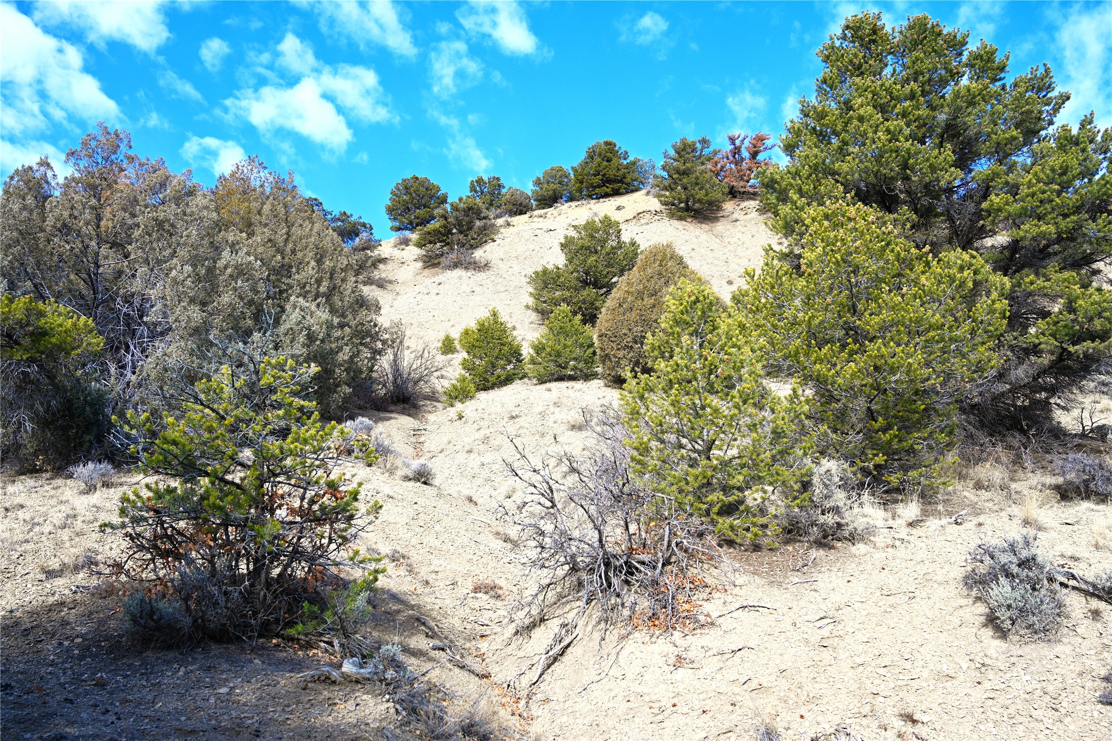 00 Cr 322 #UNIT B-6 LOT 12, Tierra Amarilla, New Mexico image 4