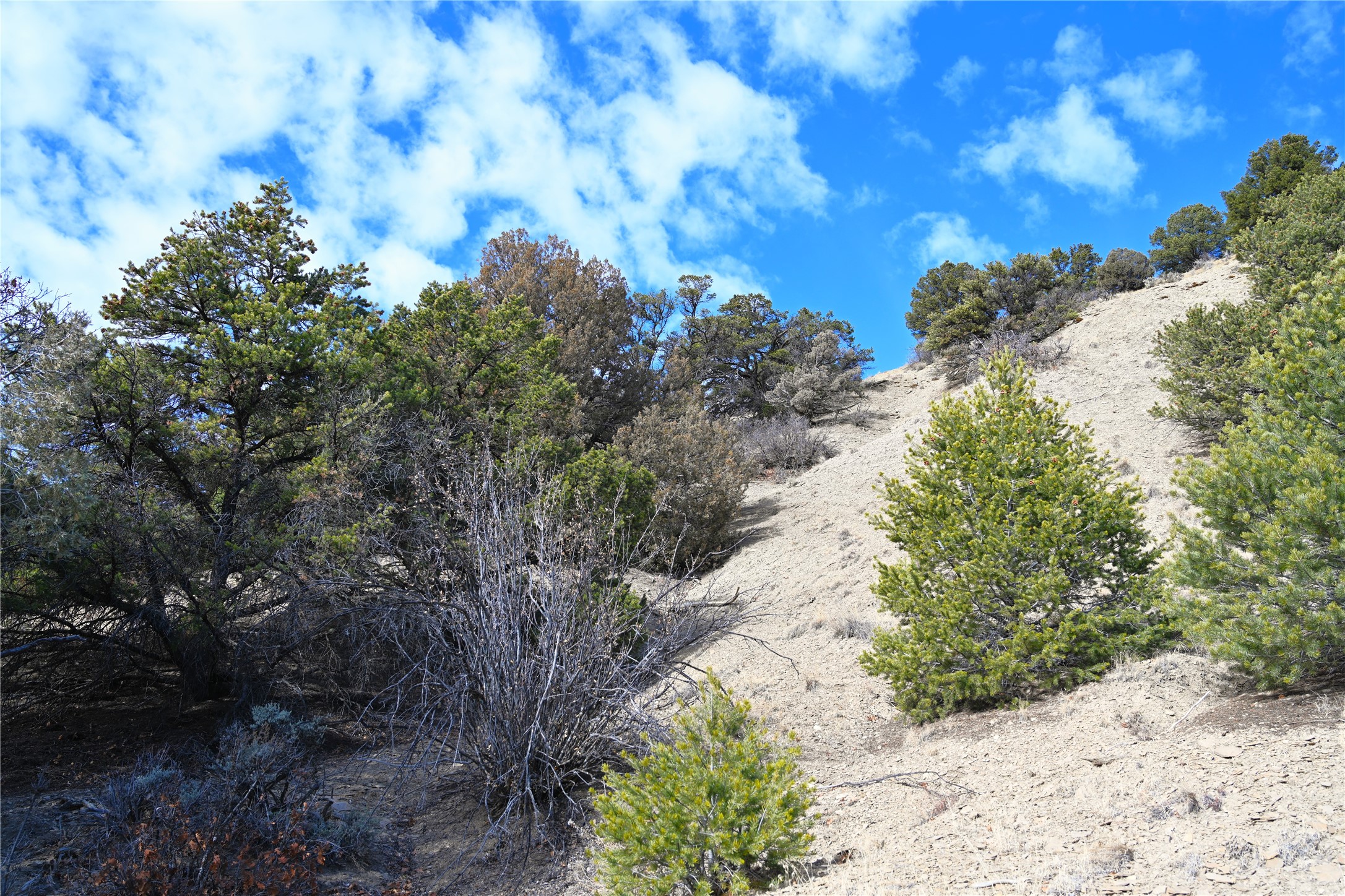 00 Cr 322 #UNIT B-6 LOT 12, Tierra Amarilla, New Mexico image 9