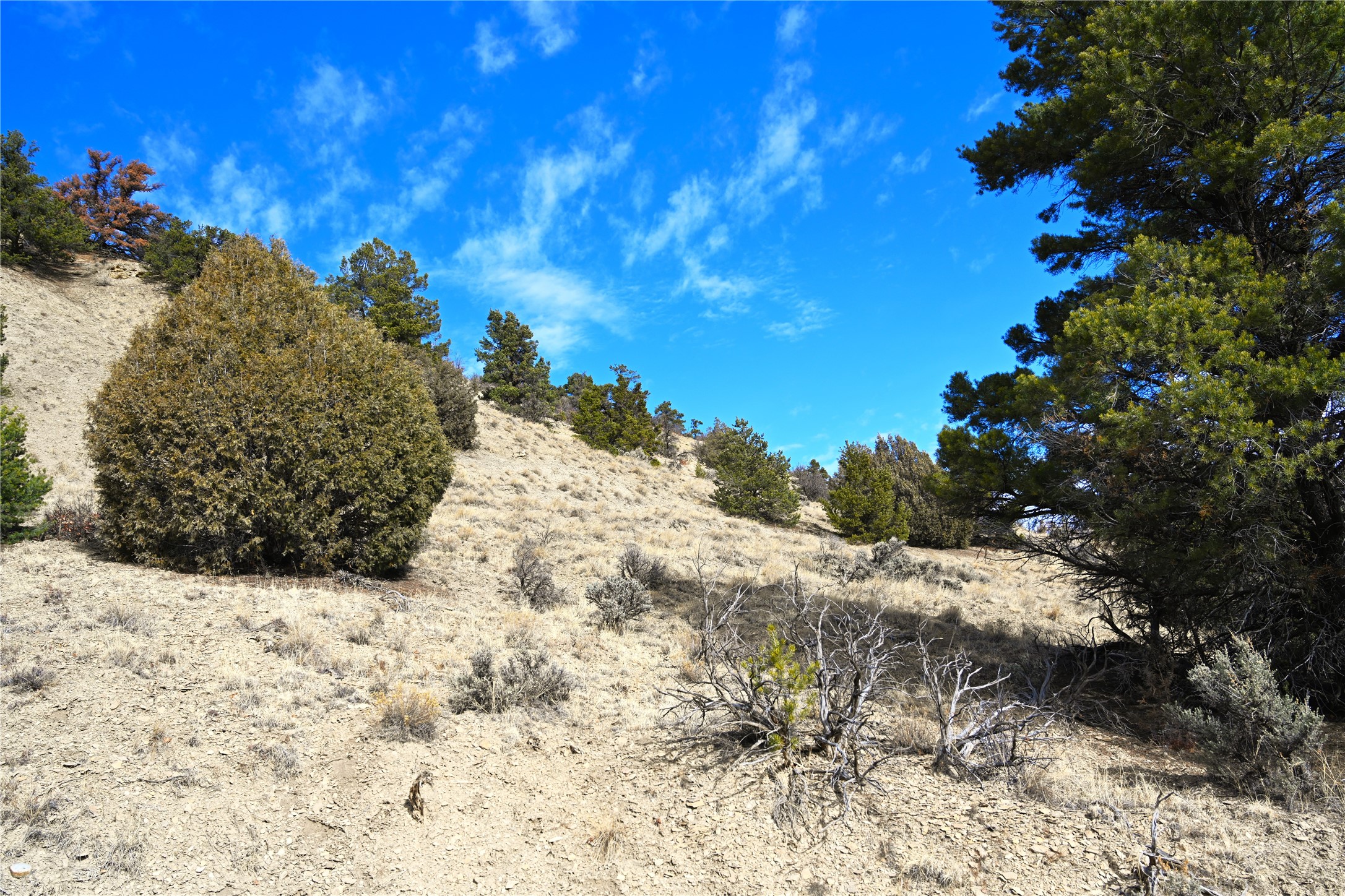 00 Cr 322 #UNIT B-6 LOT 12, Tierra Amarilla, New Mexico image 7