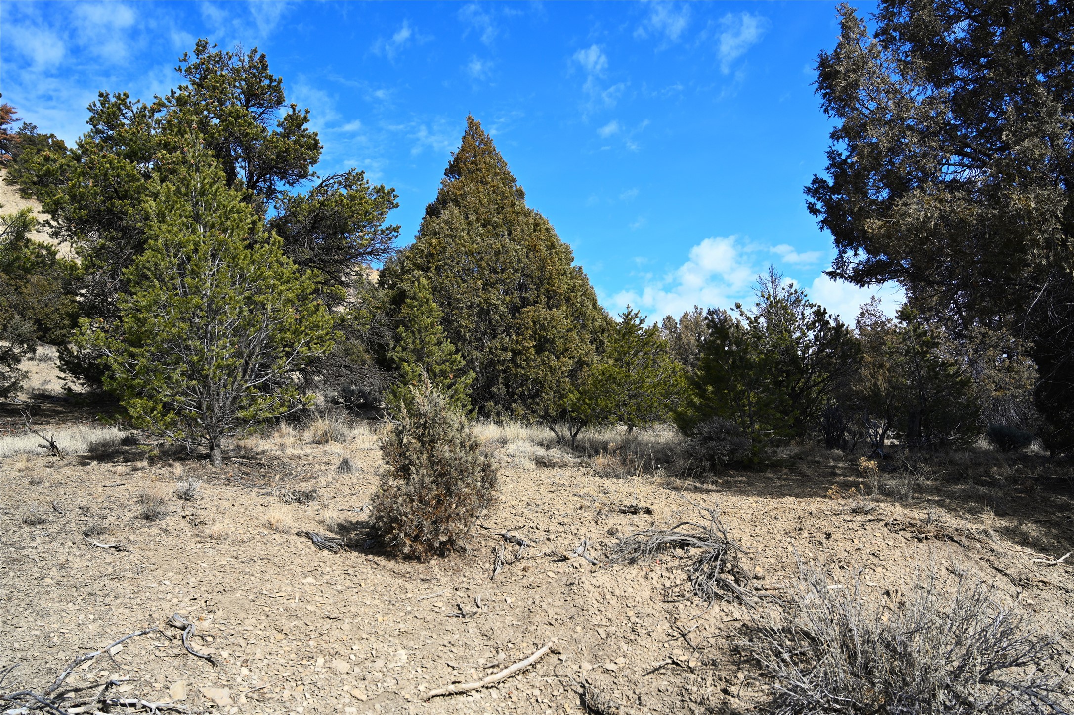 00 Cr 322 #UNIT B-6 LOT 12, Tierra Amarilla, New Mexico image 2